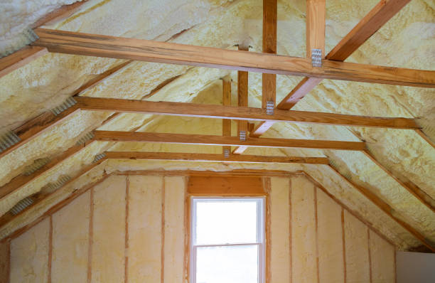 Best Eco-Friendly Insulation in Proctor, VT