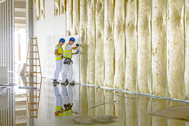 Best Cellulose Insulation in Proctor, VT